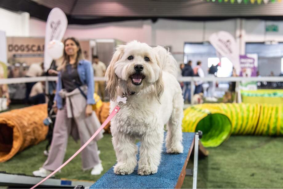 El mundo animal y humano se encuentran en Expopet 2025.