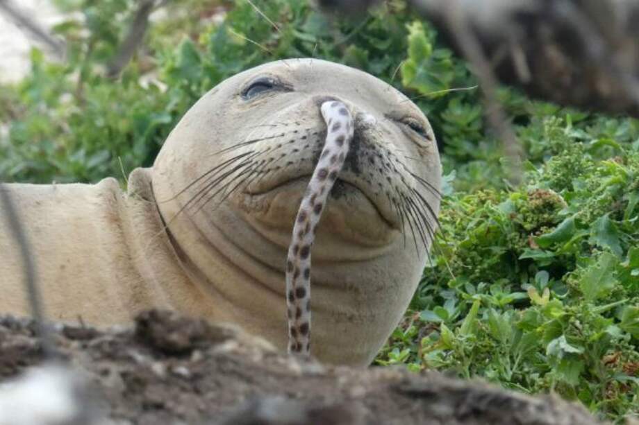 Foto tomada de Facebook.