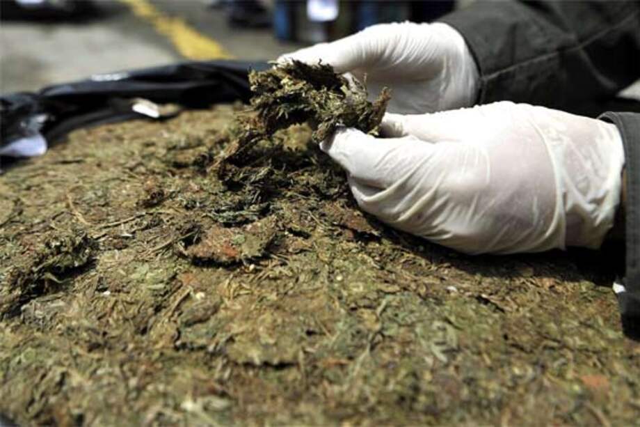 Incautadas más de 3 toneladas de marihuana de las Farc