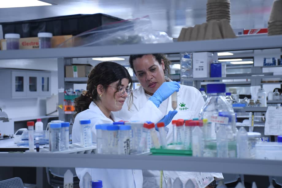 El Doctorado en Virología se apoyará en el Centro de Investigaciones en Ciencias de la Vida (CICV) de Unisimón.