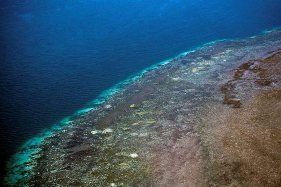 Vista aérea de la Gran Barrera de Coral durante el evento de blanqueo, el mayor sistema coralino del mundo que se extiende a lo largo de 2.300 kilómetros en el noreste australiano.
/ EFE / Cedida por Coral CoE/Universidad James Cook.