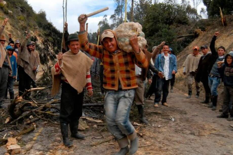 Se estudia permitir importación directa de insumos a los campesinos