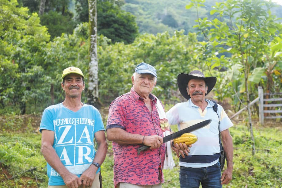 (De izq. a der.) Jose, Germán y Antonio. Hace pocos meses, dos de ellos decidieron erradicar sus cultivos de coca./ Fotos: Gustavo Torrijos.