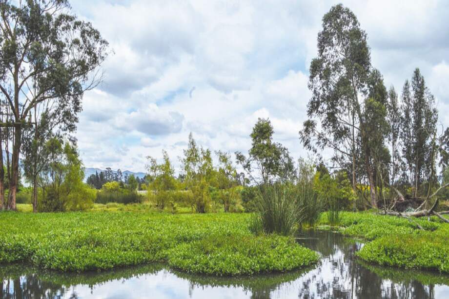 Archivo El Espectador