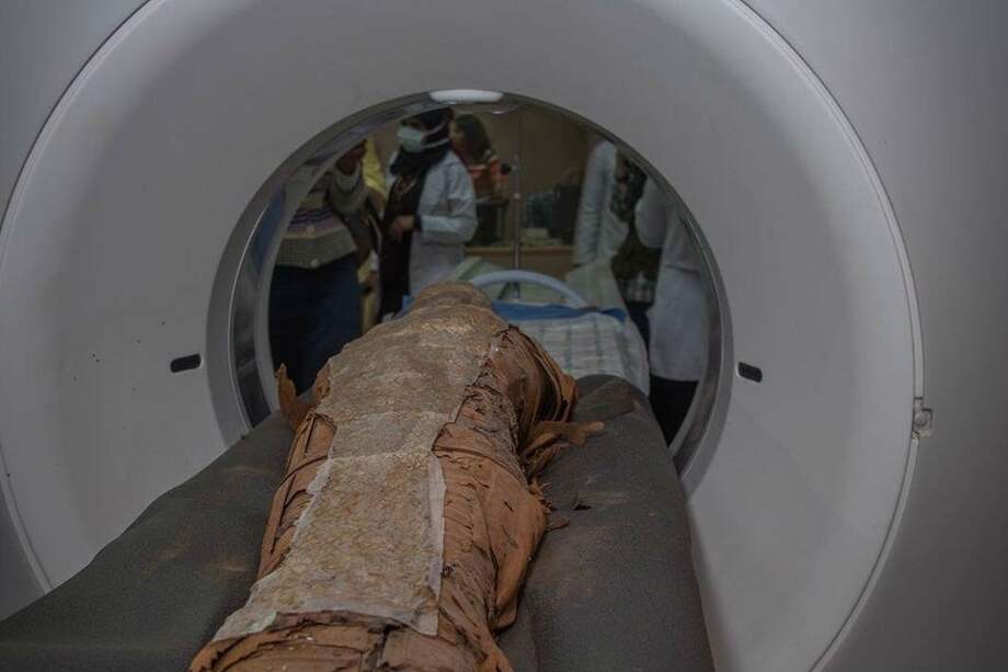 PATRICIA MORA/REMITIDO UGR