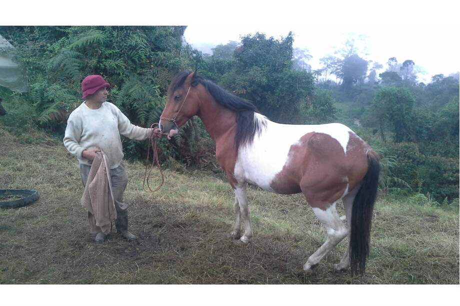 Prensa Universidad U.D.C.A