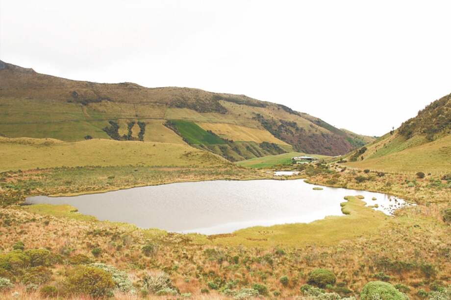 La cuenca del río Chinchiná va desde el Parque Natural Nacional Los Nevados, hasta el valle del río Cauca. Tiene una extensión de 106.866,61 hectáreas. / Cortesía Pactos de la Cuenca del Río Chinchiná