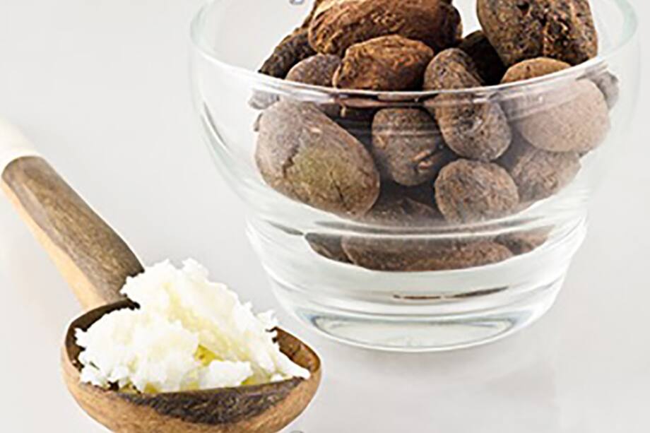 Cuida tu piel con las bondades del karité