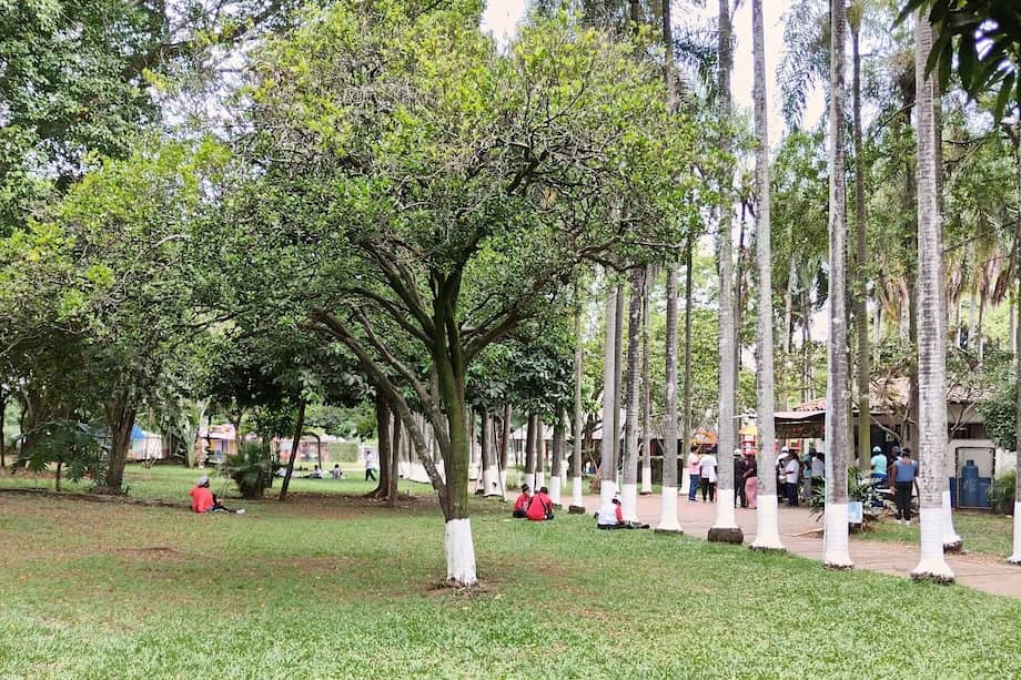 El hecho se registró en una integración escolar en el Polideportivo de la Ciudadela Comfandi, en Cali
