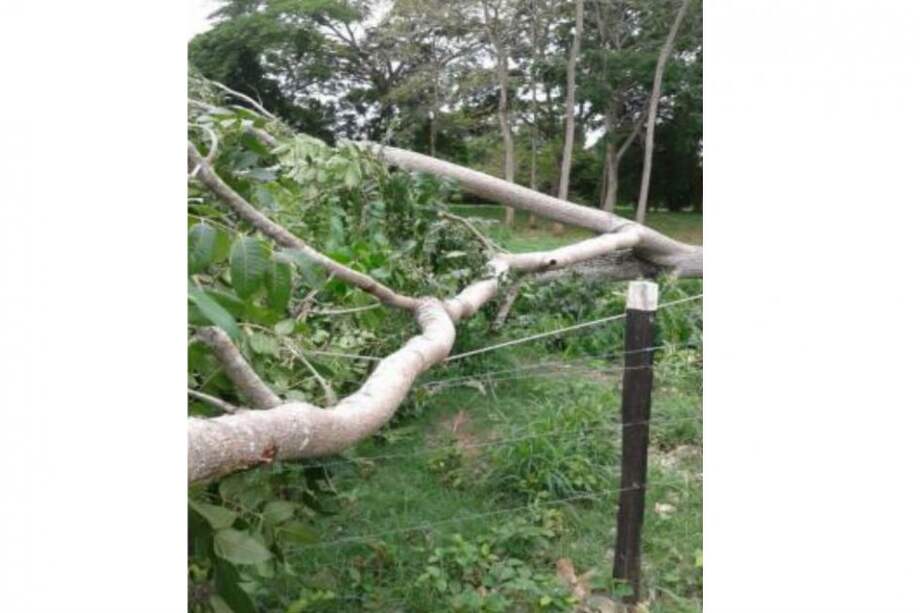 Fuertes lluvias dejan sin servicio eléctrico a 10 municipios de Córdoba