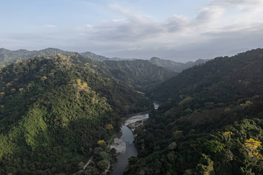 La declaratoria de la reserva, apuntó Irene Vélez, hace parte de la apuesta del Minambiente de ordenar el territorio alrededor del agua.