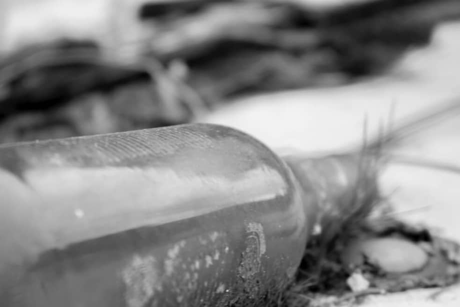 Con el vodka los científicos esperan ayudar a impulsar la economía local. / Pexels - Dalv KFMN