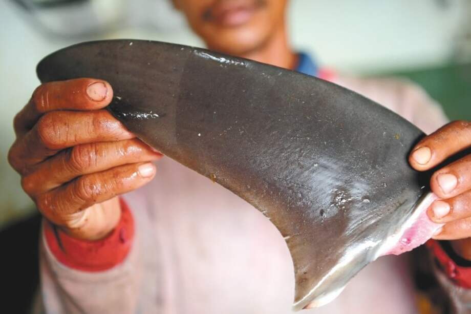 El decreto del Ministerio de Agricultura establecía un cupo de 500 toneladas. / Todd Winner