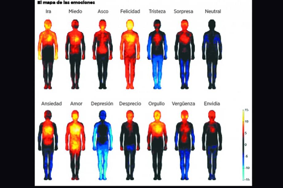 Las zonas del cuerpo en rojo son las que se activan con mayor intensidad y las azules, con menor intensidad.