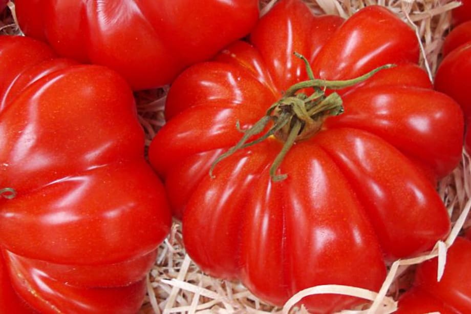 Cuatro beneficios del jugo de tomate