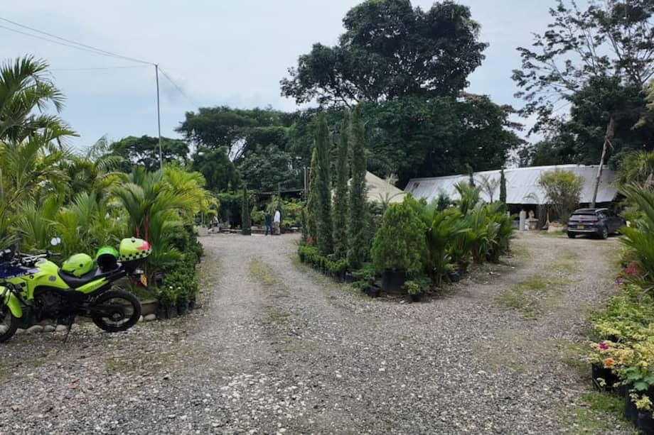 Vista del predio en Cali, ahora bajo control del Estado tras años de ocupación irregular.