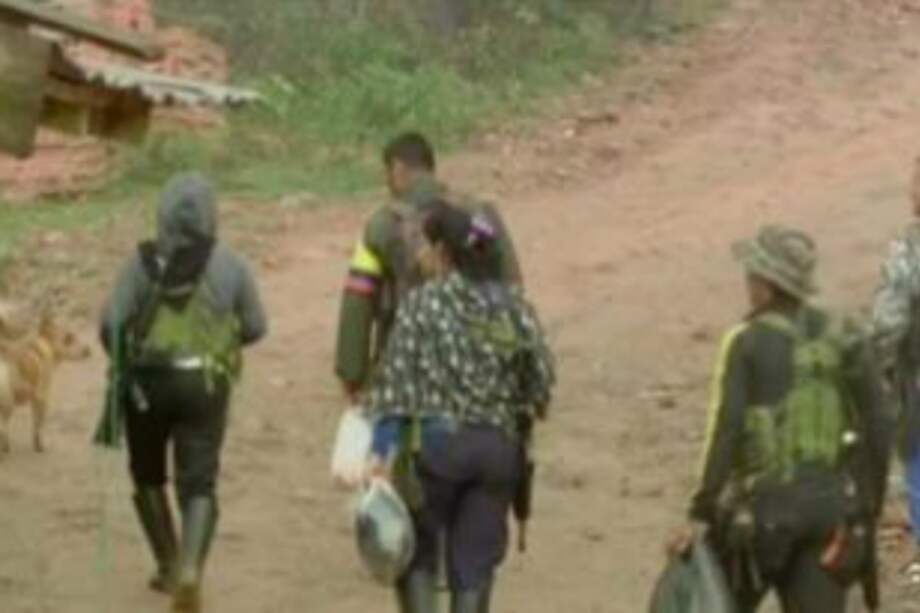 Seguridad en zona de pedagogía de las Farc la presta la Fuerza Pública: Gobierno
