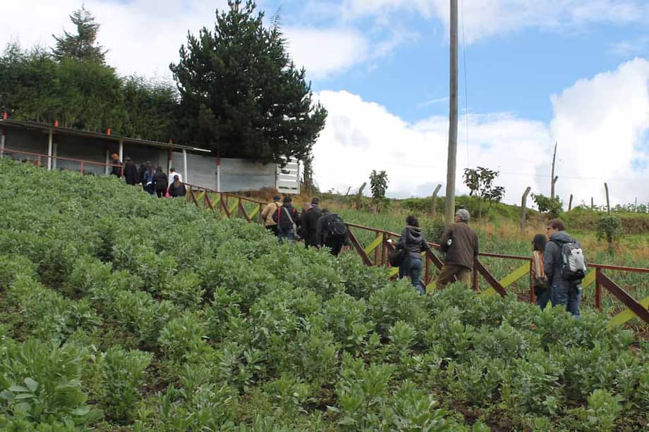 En La Requilina, los visitantes pueden recorrer una ruta agroturística por 12 fincas, con paquetes entre $20 mil y $30 mil. / Fotos: Laura Dulce - El Espectador