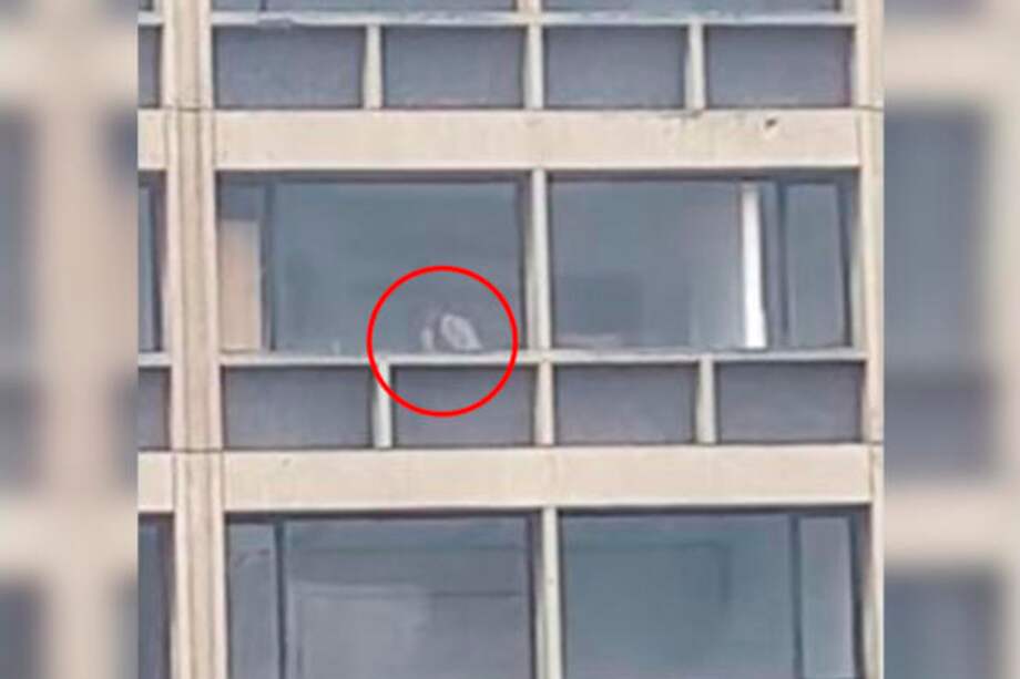 Foto: Captura de YouTube