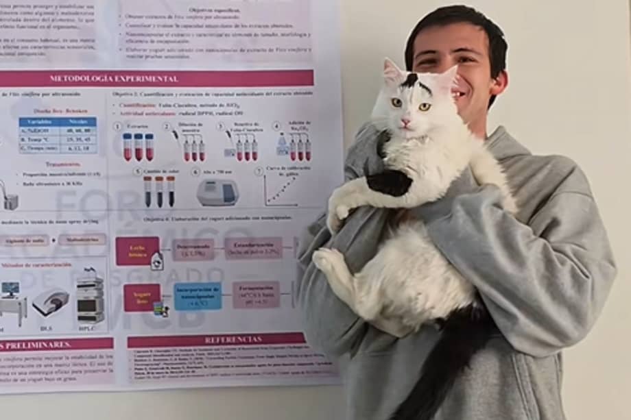 En redes sociales, el estudiante compartió imágenes del felino sobre los libros y hojas de estudio.