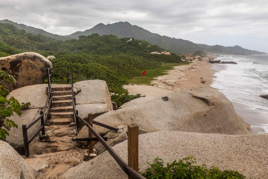 Según Parques Nacionales, en el Tayrona habitan 470 especies de animales y 220 variedades de aves. / Getty Images