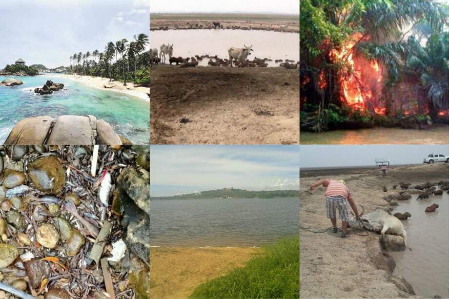 Archivo El Espectador/Cortesía Las Chivas del Llano/@contagioradio/@merlinduarte/@caribesano