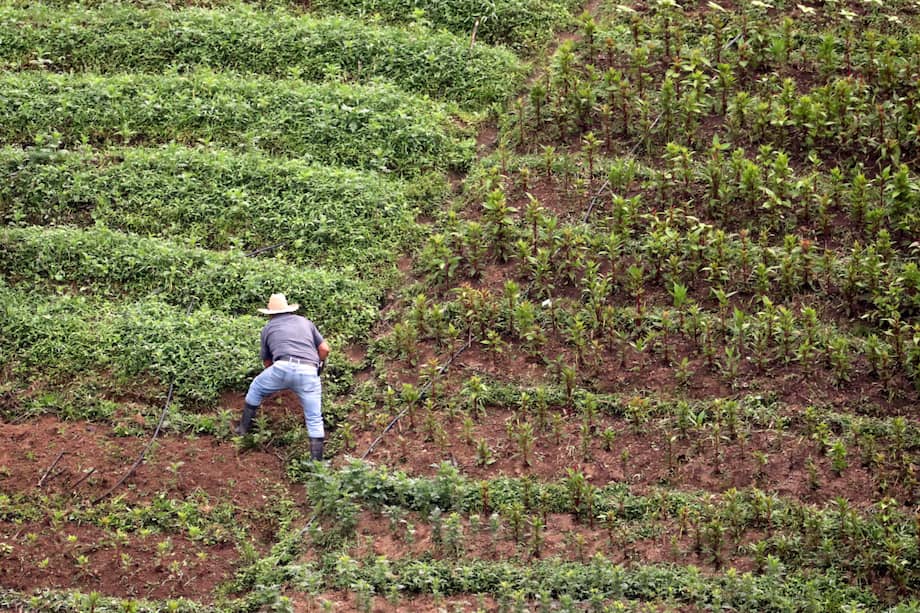 Diferentes medidas en el campo