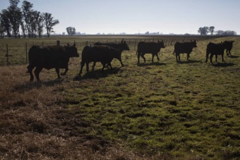 Los parafiscales del sector son cerca de $80.000 millones al año. / Bloomberg