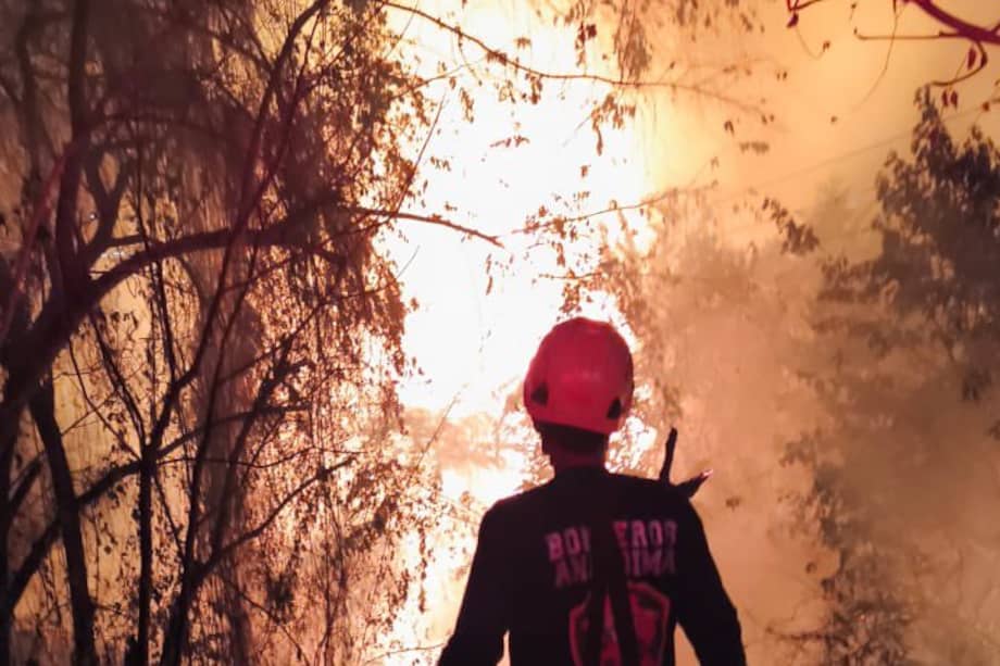 Estas emergencias dejaron cerca de siete hectáreas afectadas.