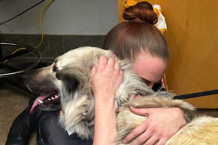 Gracias a una publicación en Facebook, el refugio que recibió a la perrita pudo reunirla con su madre.