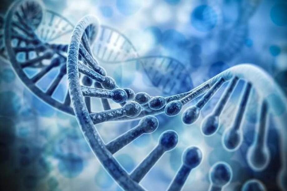 Los científicos conocen cómo funcionan los componentes de la célula por separado, pero al ponerlos a funcionar todos a la vez la complejidad supera su actual conocimiento. / Fotolia