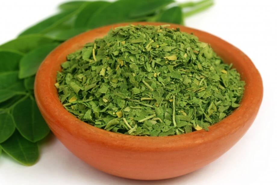 La moringa, los beneficios de una planta mágica