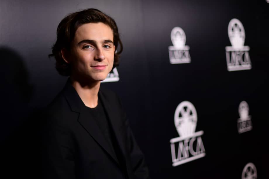 Timothée Chalamet. / MATT WINKELMEYER / GETTY IMAGES NORTH AMERICA / AFP