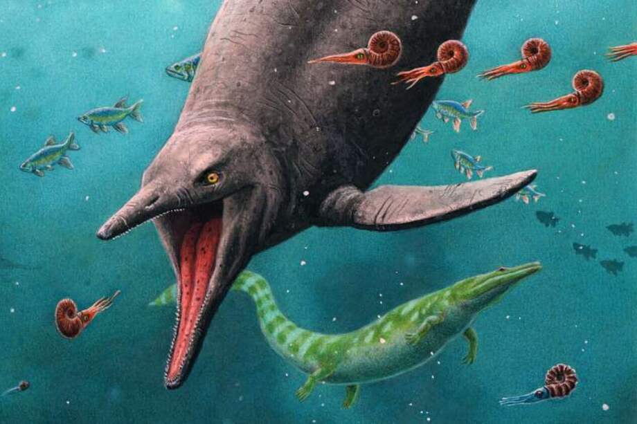Esta es una reconstrucción del ictiosaurio más antiguo.