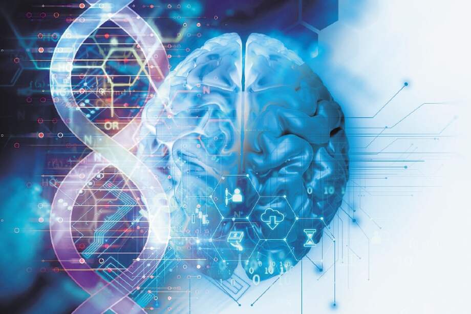 El equipo recopiló los datos de más de 11.000 niños holandeses entre los siete y los ocho años. /Getty Images/iStockphoto