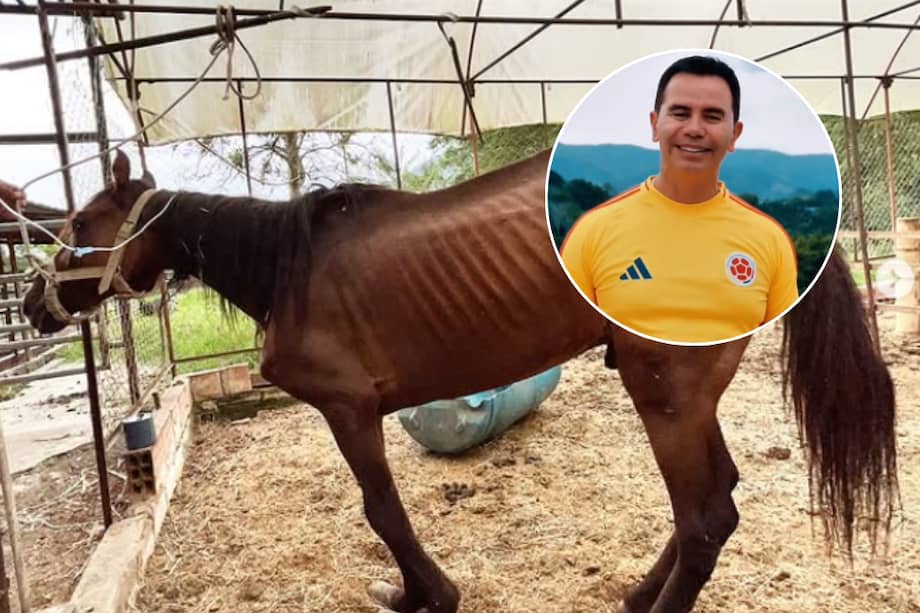 Anteriormente, Rivera rescató a Valentino, Príncipe y otros caballos en estado de vulnerabilidad.