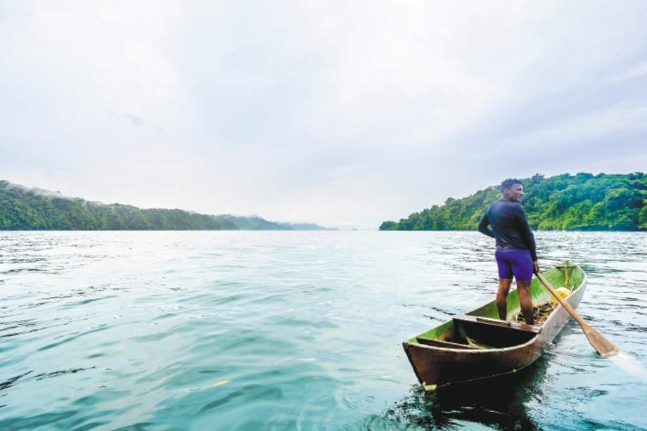 Pocos lugares reúnen tanto misterio y belleza a la vez, como la Ensenada de Utría ubicada en la costa norte del Pacífico colombiano, en Chocó.