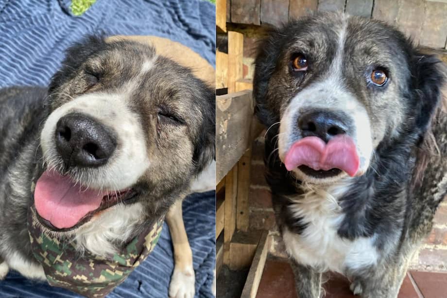 Gastón tiene ocho años y lleva un año y dos meses dentro de la fundación.