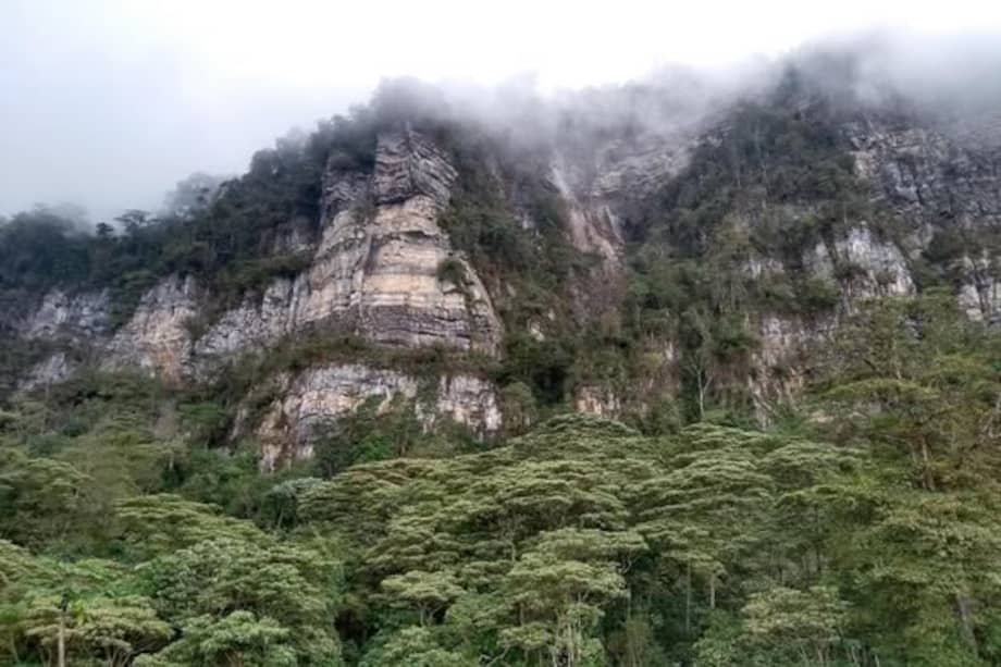 Ubicado a menos de una hora de Bogotá, el Parque Natural Chicaque es un bosque de niebla que combina paisajes imponentes, biodiversidad y múltiples actividades al aire libre.