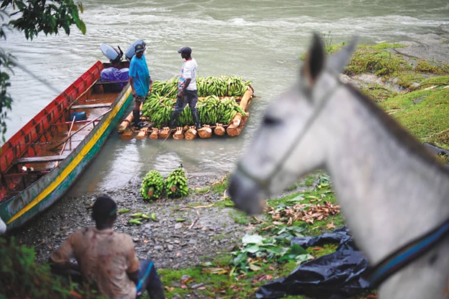 Los campesinos arriesgan su vida en barcazas por el Tamaná. / Gustavo Torrijos