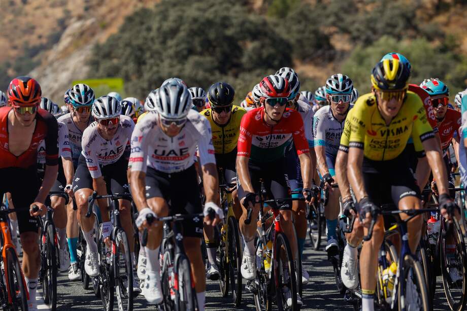 El pelotón ciclista durante la quinta etapa de la Vuelta a España que discurre este miércoles entre Fuente del Maestre (Badajoz) y Sevilla sobre un recorrido de 177 kilómetros.