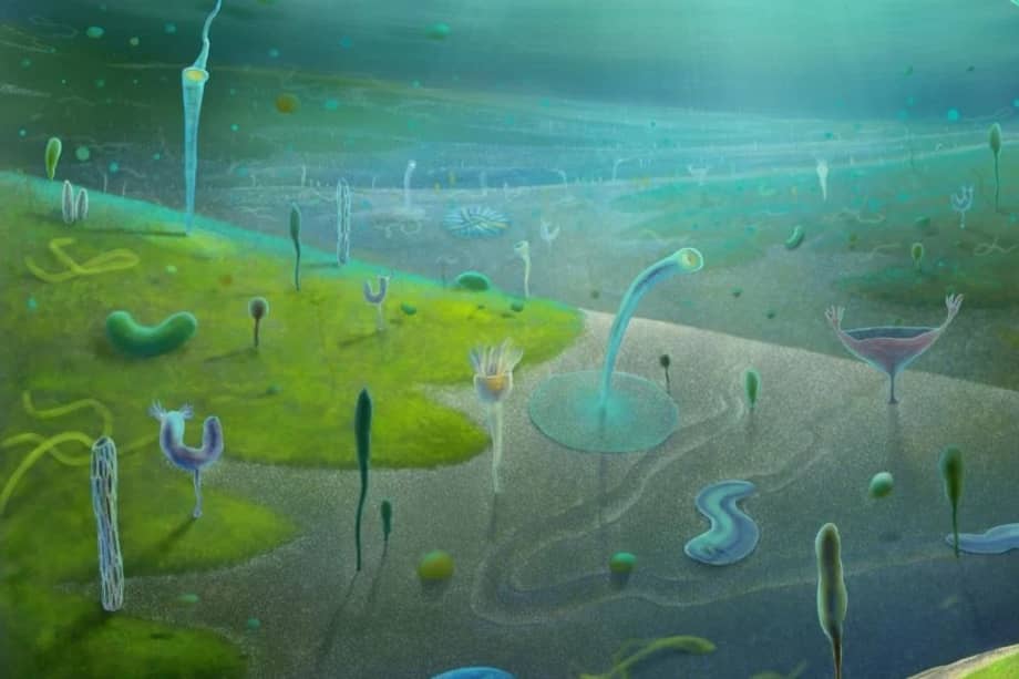 Con esta ilustración, la Universidad de Oxford califica como "un espectacular tesoro fósil" a los recientes hallazgos.