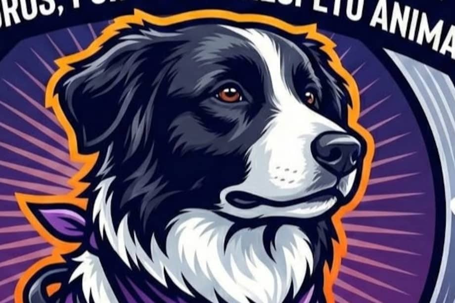 “Horus, un héroe para todos”, una imagen que honra la memoria de un perro y llama al respeto por los animales.