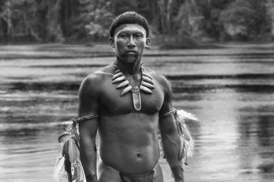 "El abrazo de la serpiente" logra la nominación al Óscar