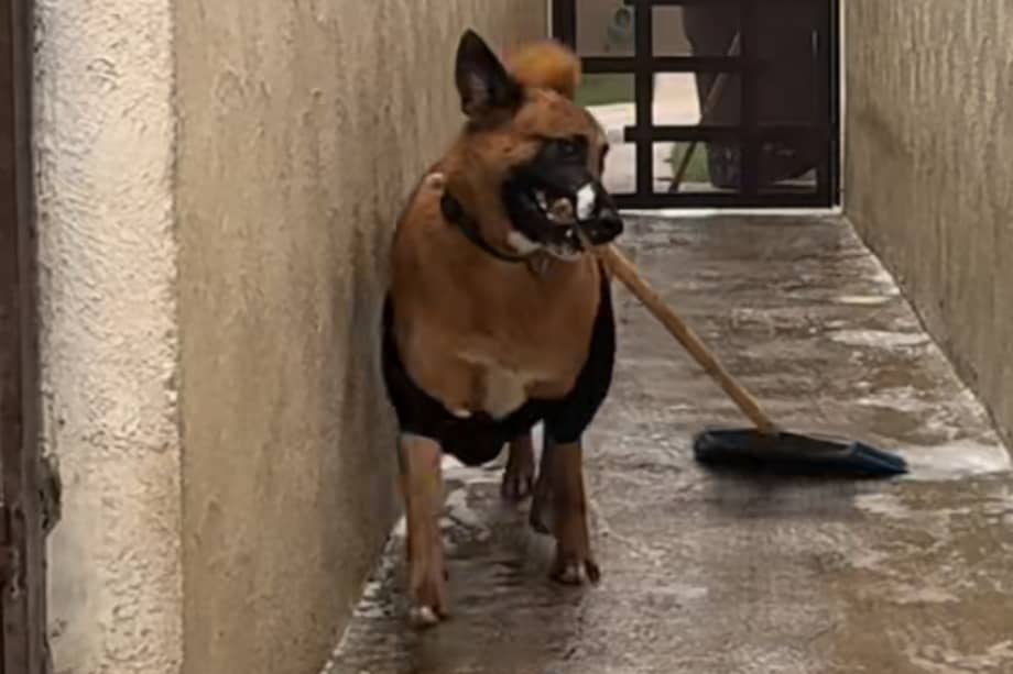 Tito jugando