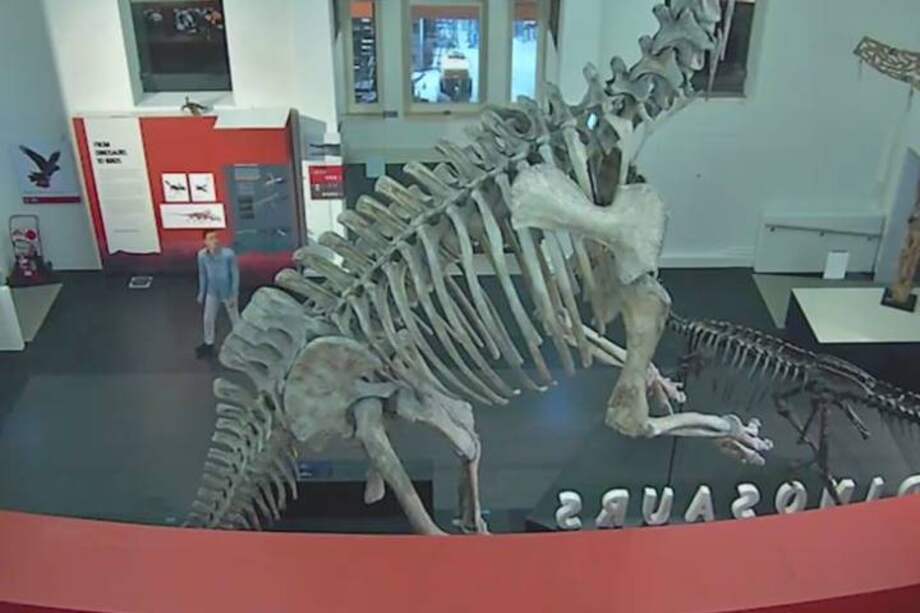 Foto: Captura de pantalla | Video Fuerza de policía de NSW