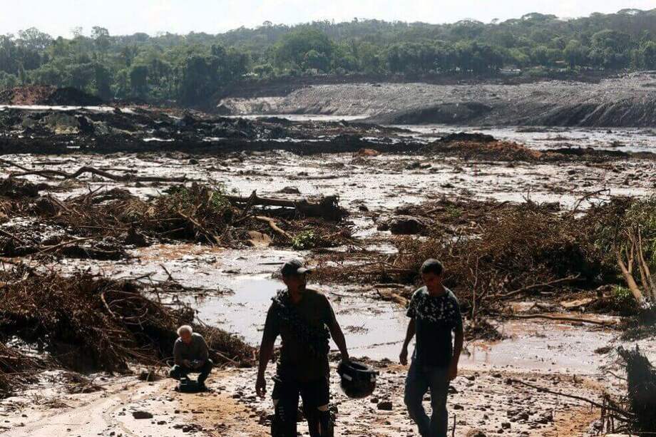 El vertido de Brasil destruyó 125 hectáreas de bosque. / EFE.