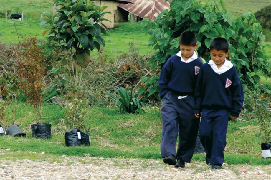 La difícil situación de las escuelas rurales en Colombia