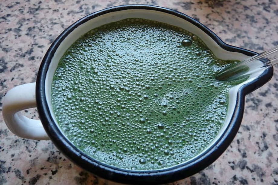 Espirulina, la alga que podría ser la solución a la desnutrición en Colombia