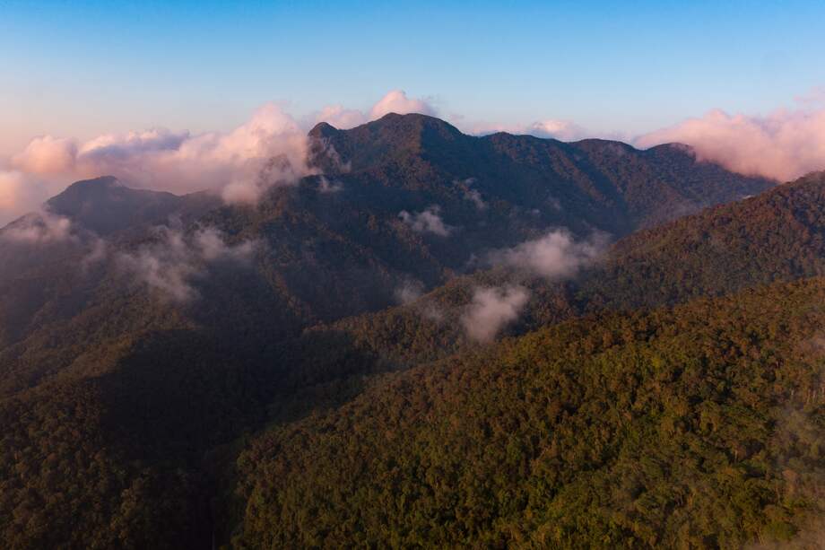 La meta de los países es detener y revertir la pérdida de biodiversidad a 2030.
